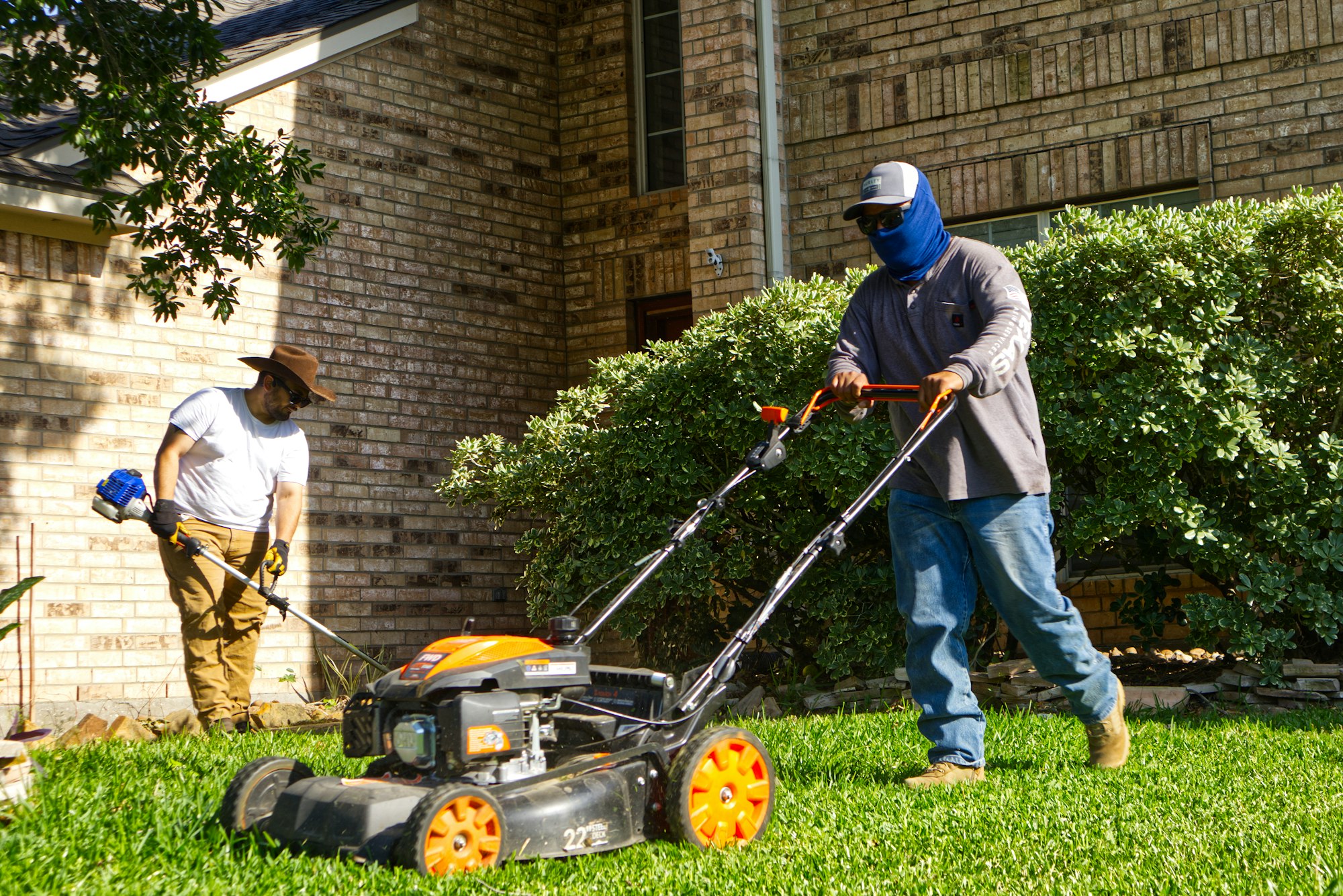 Fresh-mowed Central New York lawn with diagonal cut stripes at golden hour