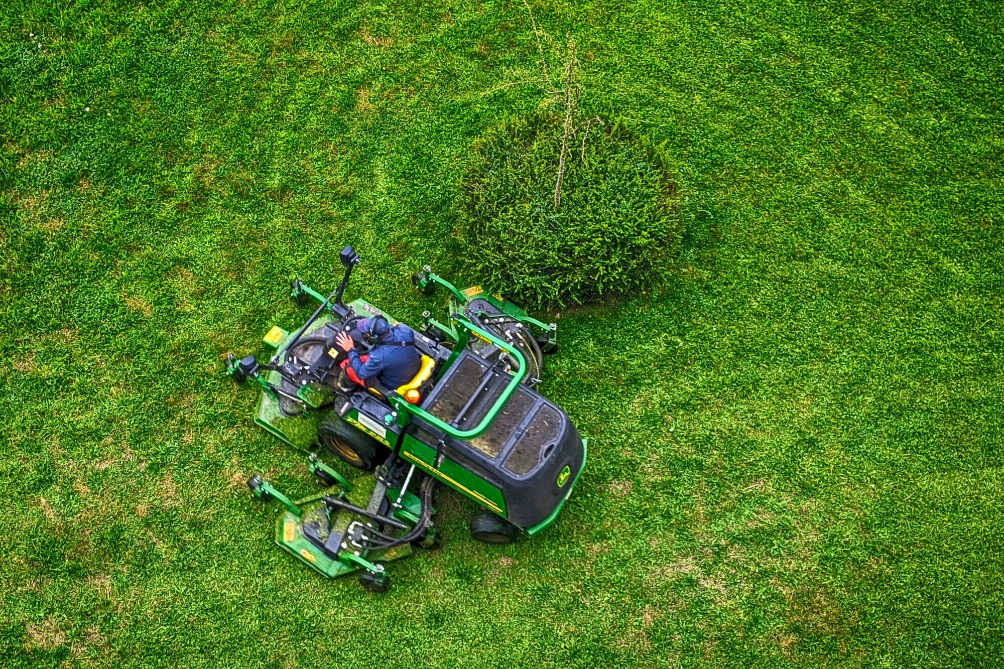 Fresh-mowed Central New York lawn with diagonal cut stripes at golden hour