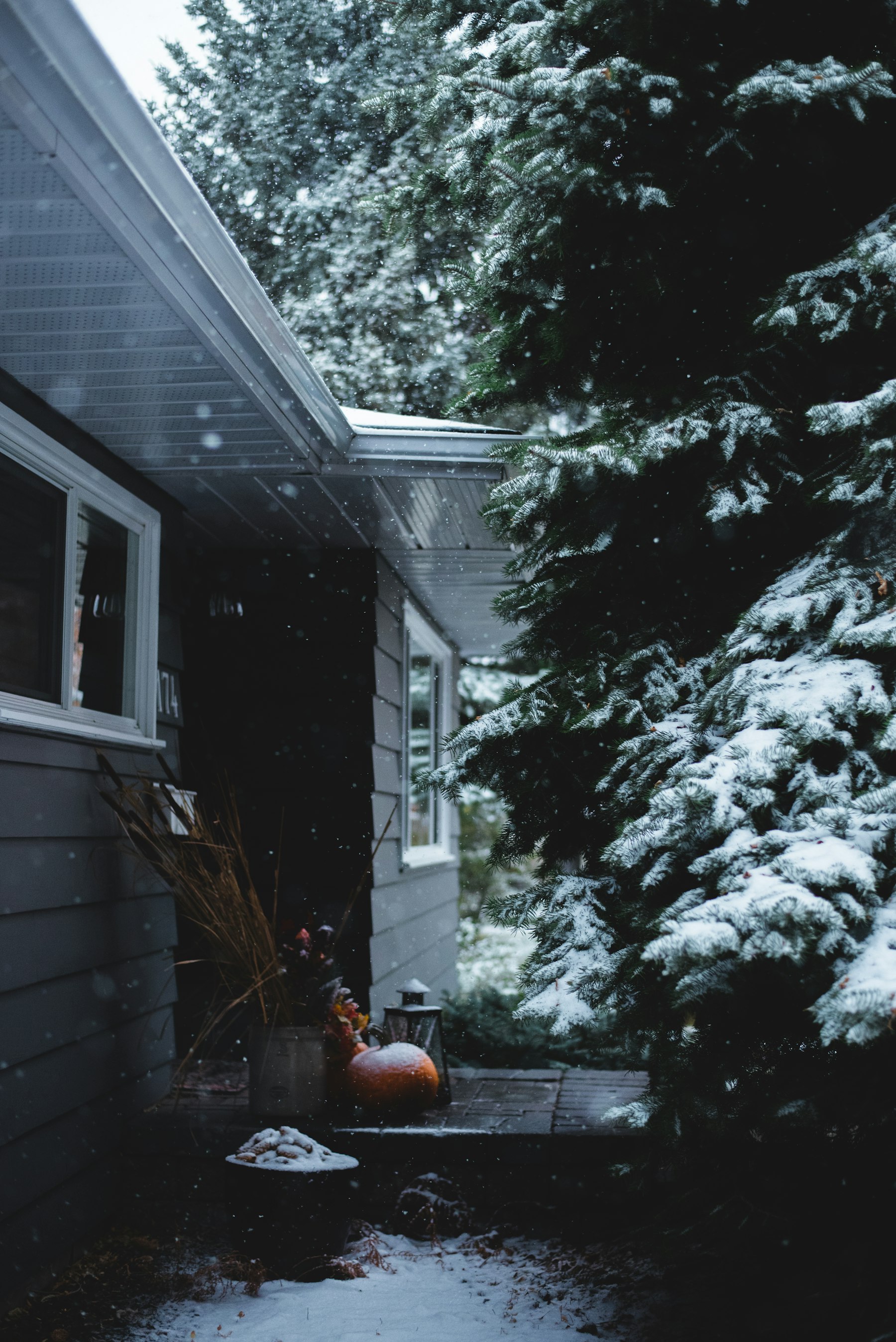 Snow-covered residential driveway in Central New York at first light
