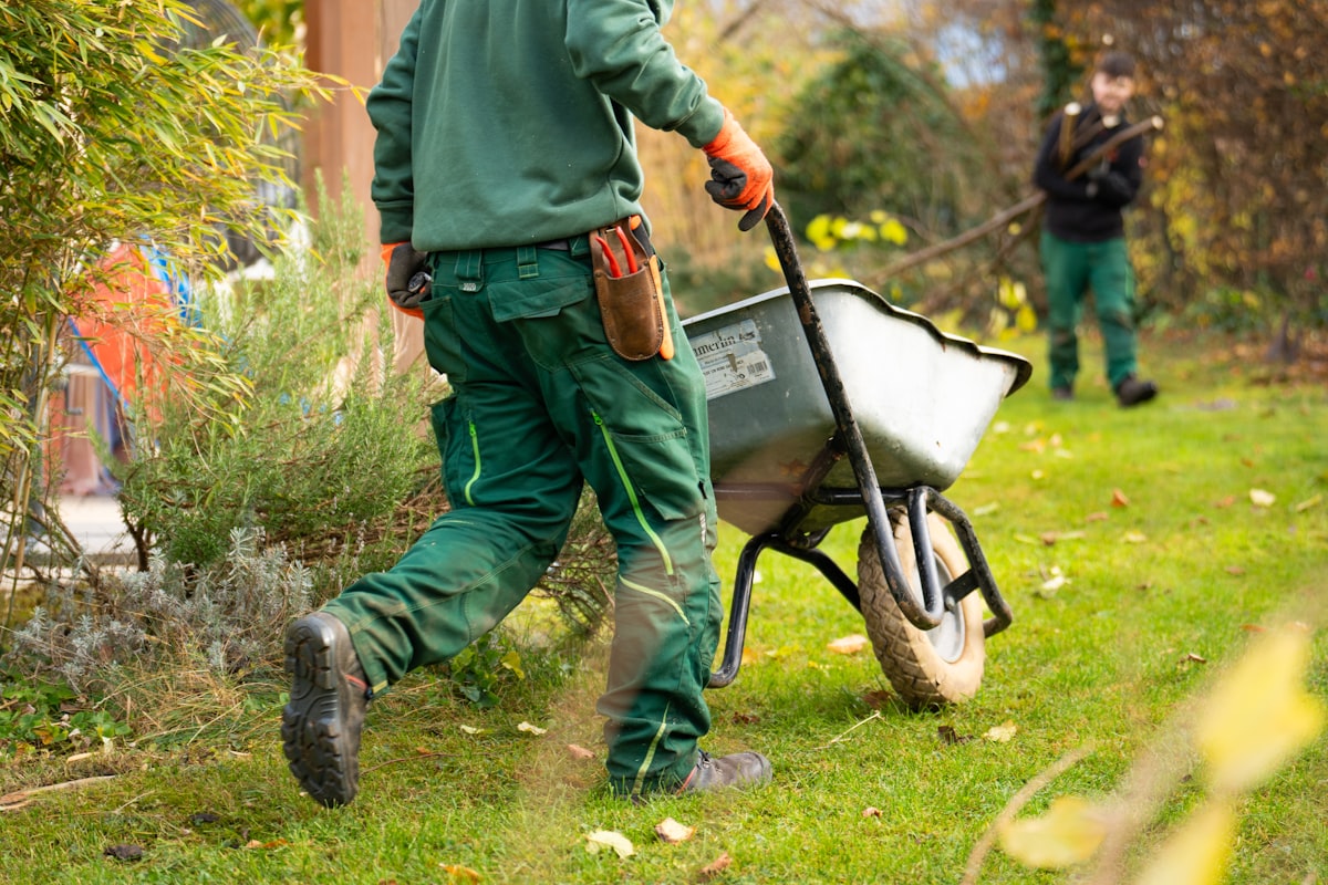 Land Clearing & Drainage